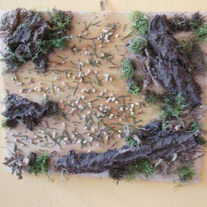 Moss & Bark Original Artwork